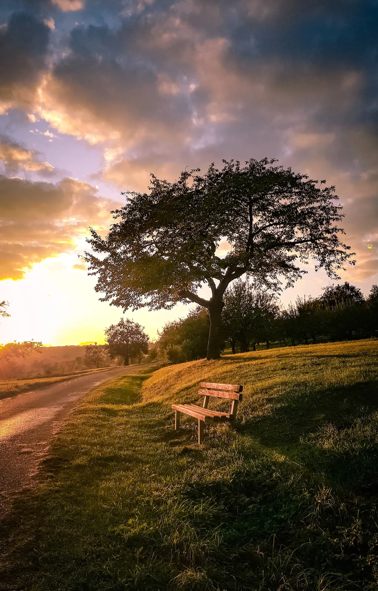 Surreal bench at sunrise